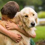 תמונה של כיצד כלב יכול לעזור לשיפור התנהגות אצל ילדים?